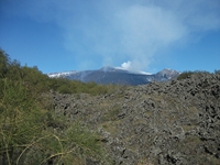 anobello-01042012 020